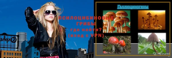mix Верхний Тагил
