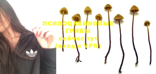 каннабис Ростов