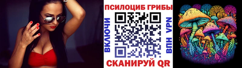 KRAKEN ССЫЛКА что такое наркотик Камызяк Псилоцибиновые грибы Cubensis